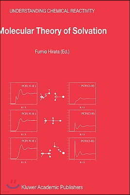 Molecular Theory of Solvation