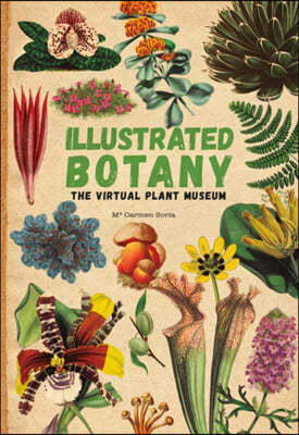 The Illustrated Botany