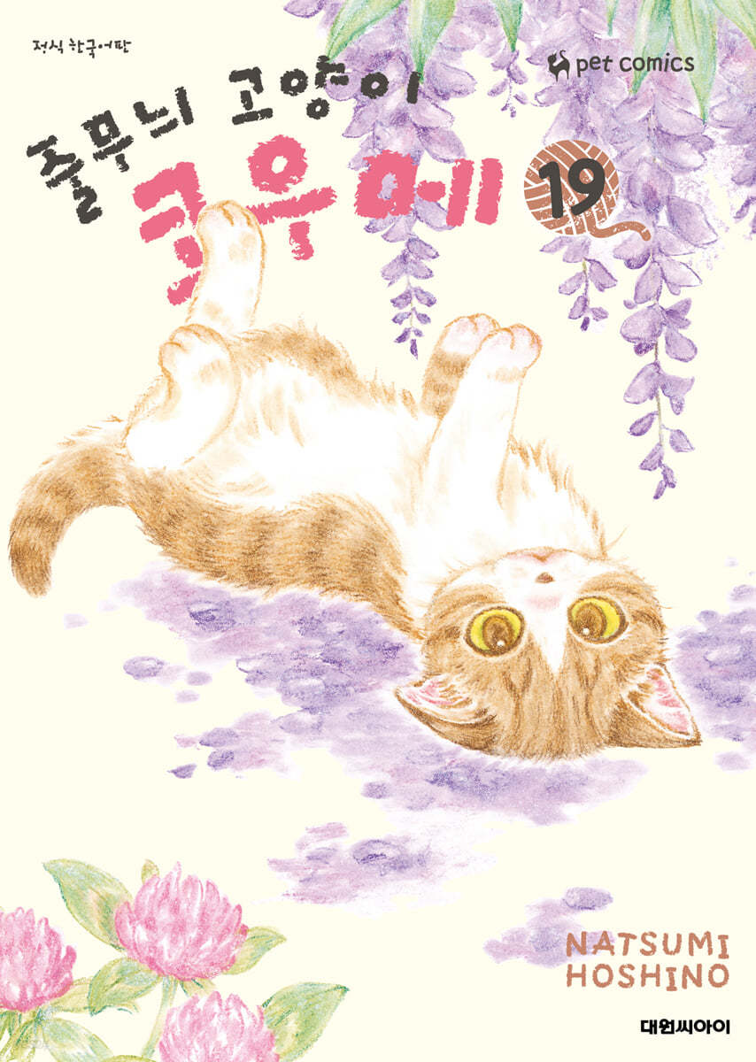 줄무늬 고양이 코우메 19