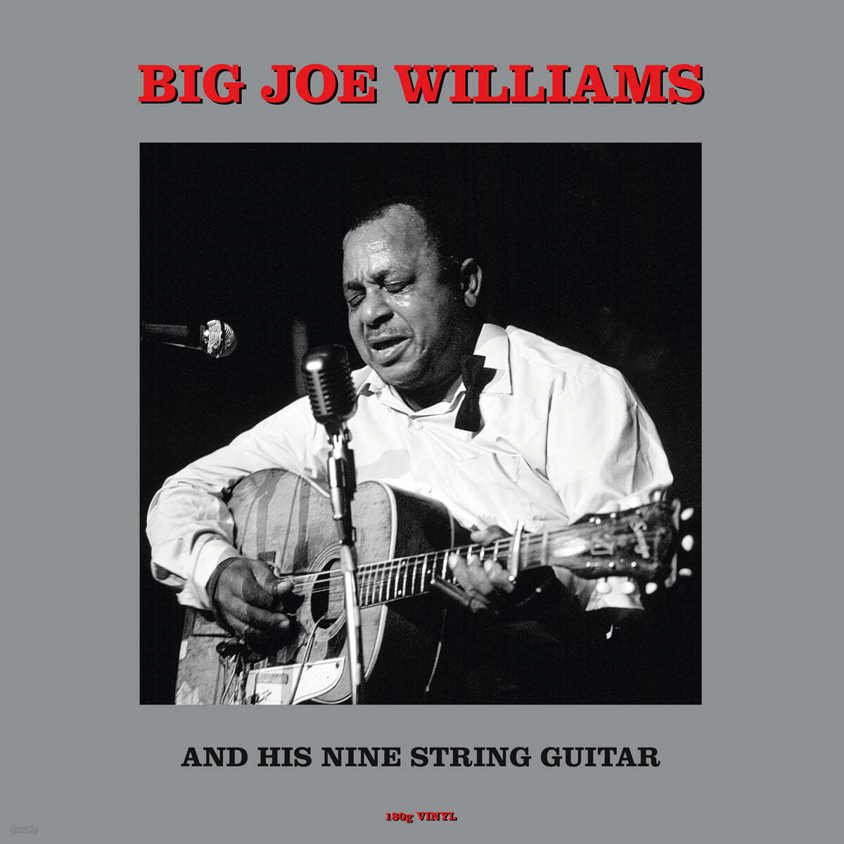 Big Joe Williams (빅 조 윌리엄스) - Big Joe Williams And His Nine String Guitar [LP] 