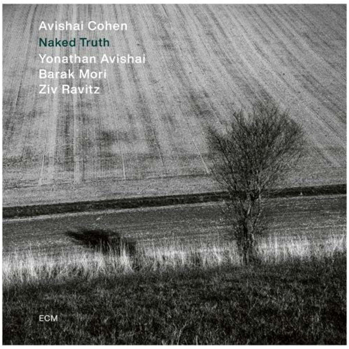 Avishai Cohen Quartet (아비샤이 코헨 쿼텟) - Naked Truth