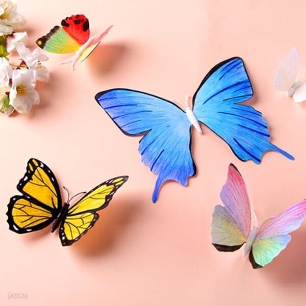 아트랄라 자석이 있는 나비 4종 (6개입) 곤충 색칠하기 만들기재료 데코소품