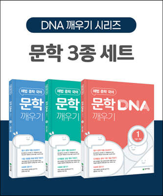해법 중학 국어 문학 DNA 깨우기 1-3 세트