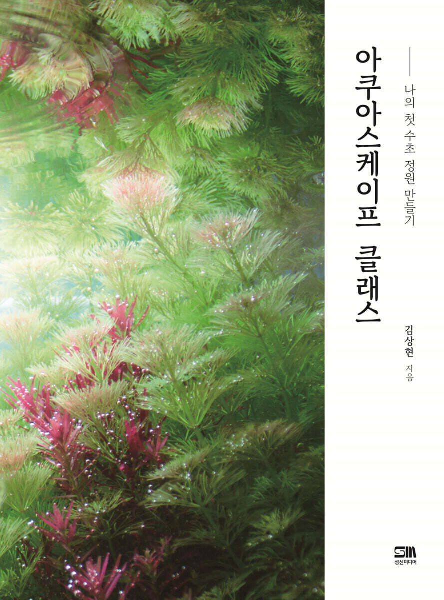 아쿠아스케이프 클래스