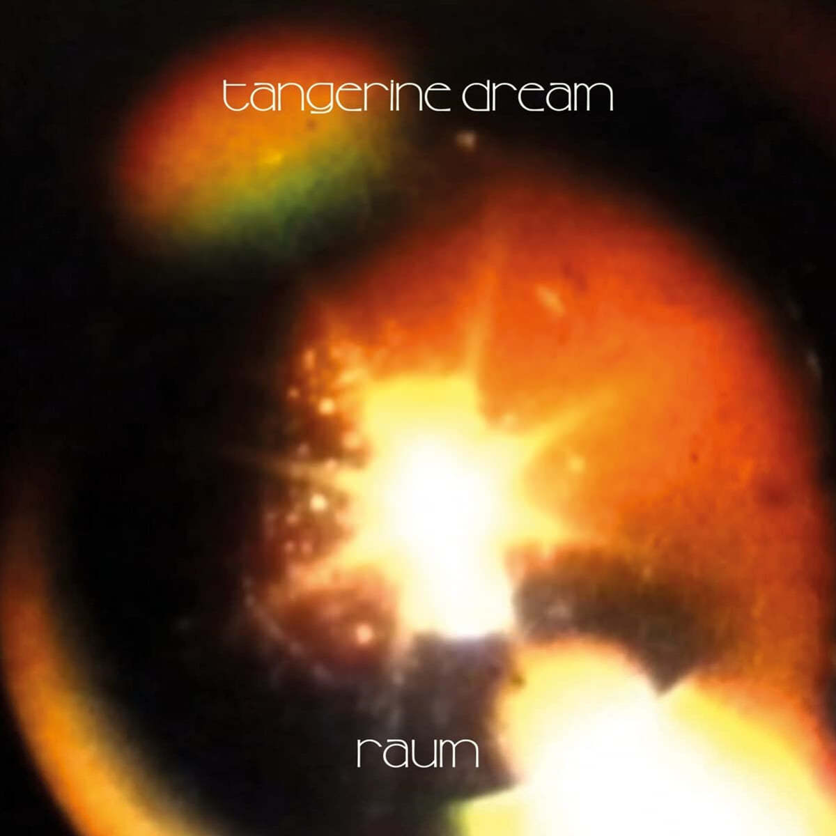 Tangerine Dream (탠저린 드림) - Raum [2LP]