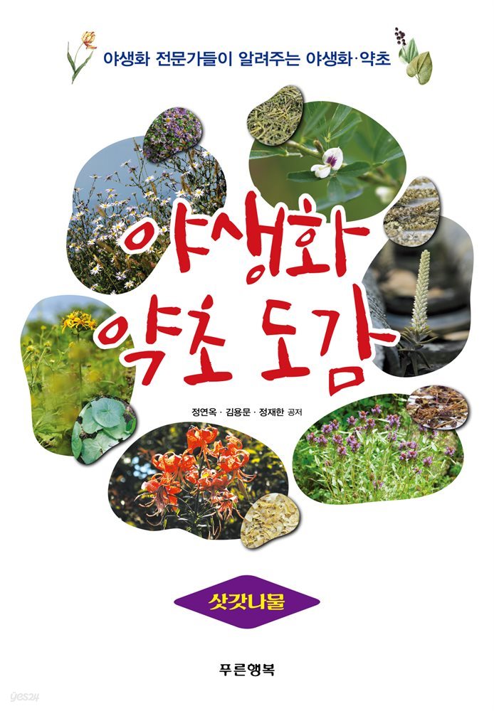 야생화 약초 도감 - 삿갓나물