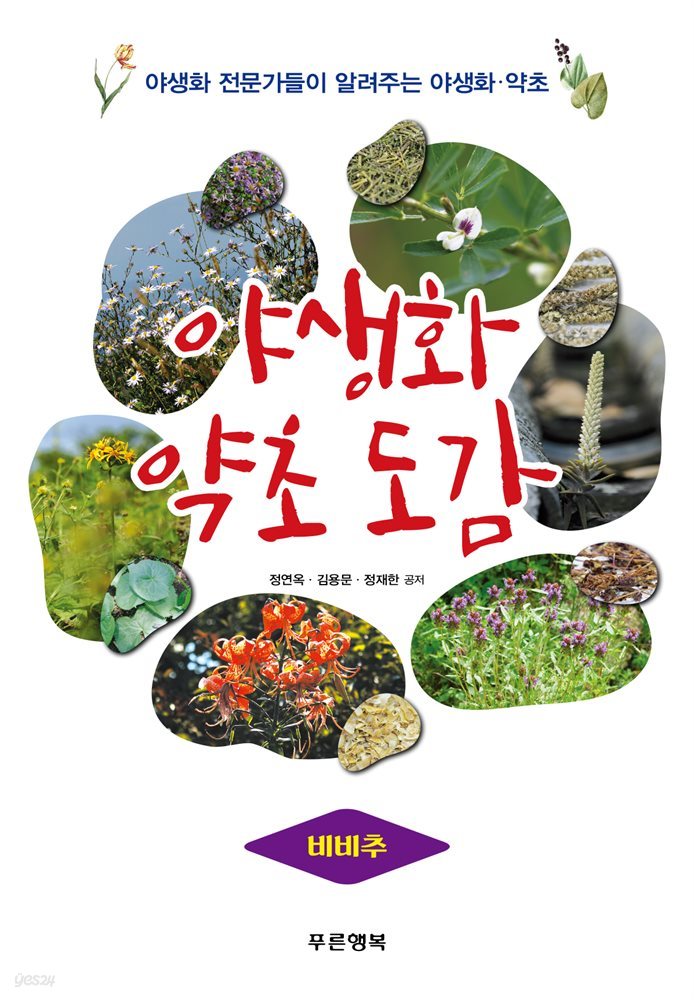 야생화 약초 도감 - 비비추