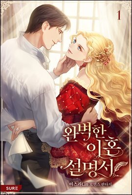 완벽한 이혼 설명서