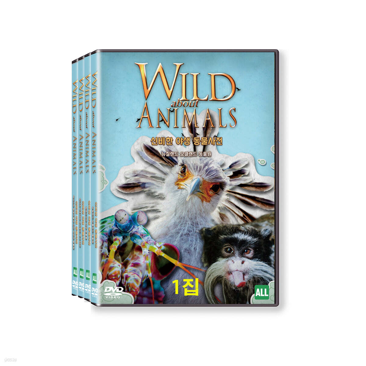 히스토리채널 : 신비한 야생 동물사전 1집 (4Disc)