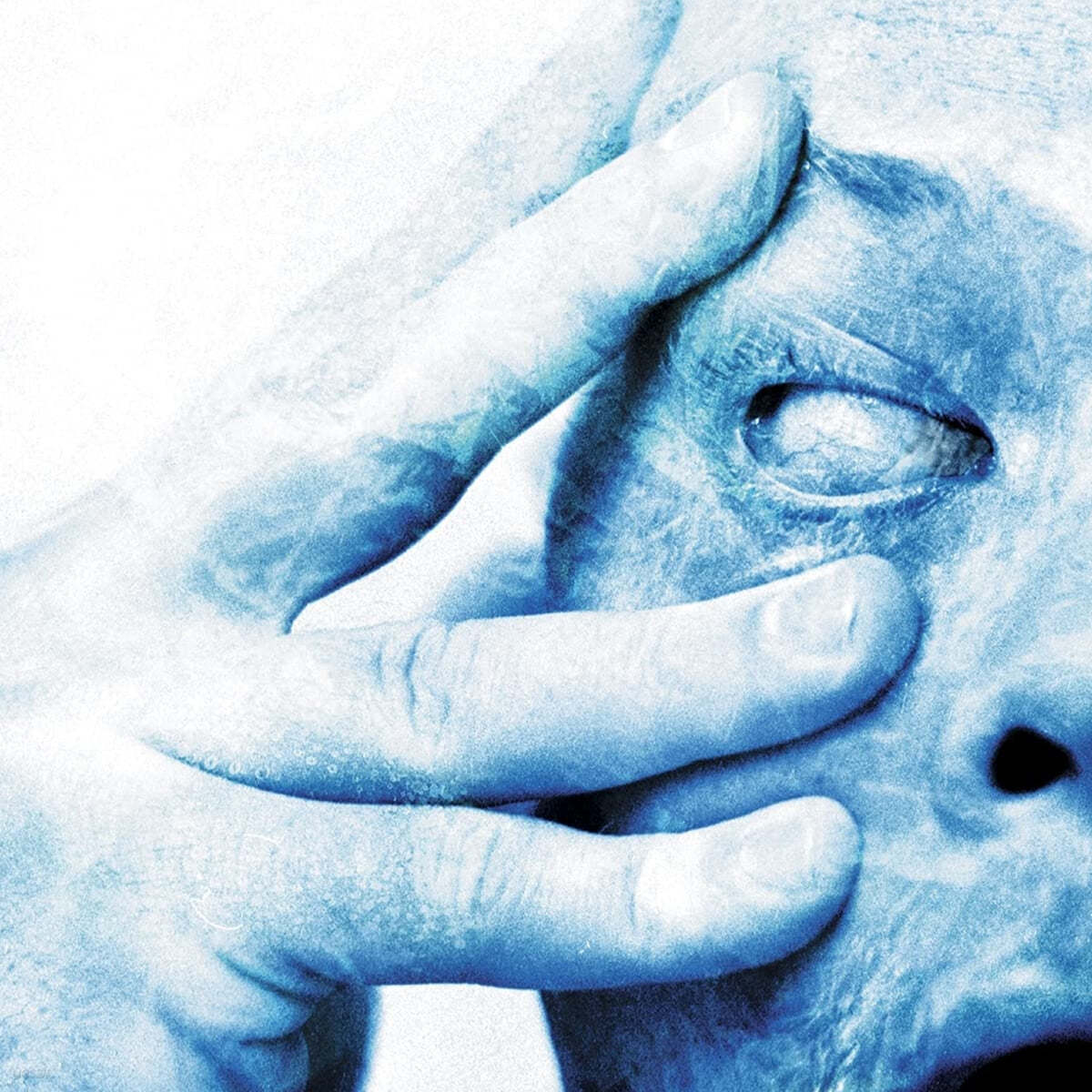 Porcupine Tree (포큐파인 트리) - In Absentia [2LP] 