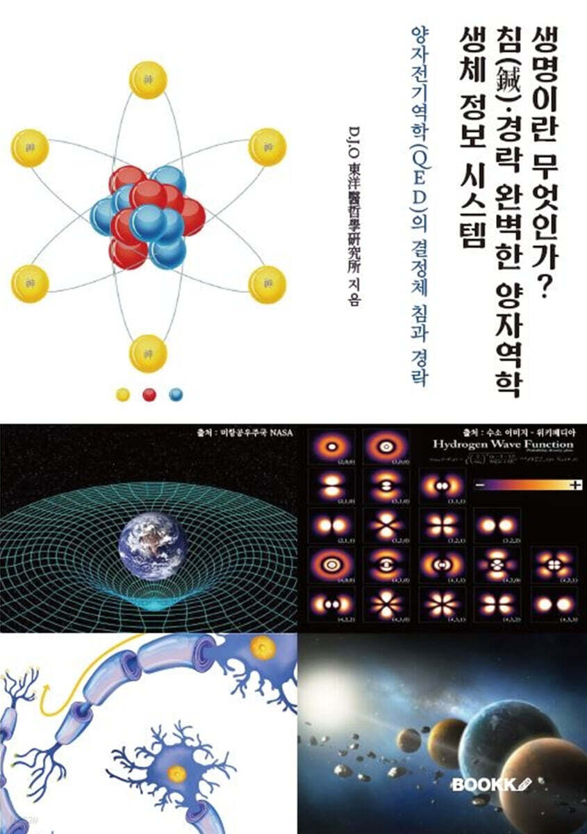 생명이란 무엇인가? 침(鍼) 경락 완벽한 양자역학 생체 정보 시스템