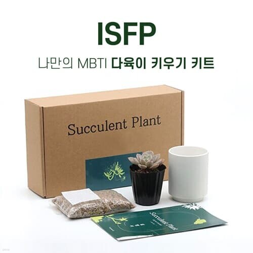 MBTI 다육이키우기 DIY키트 ISFP 호기심 많은 예술가