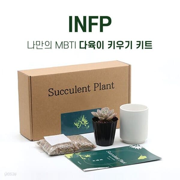 MBTI 다육이키우기 DIY키트 INFP 열정적인 중재자