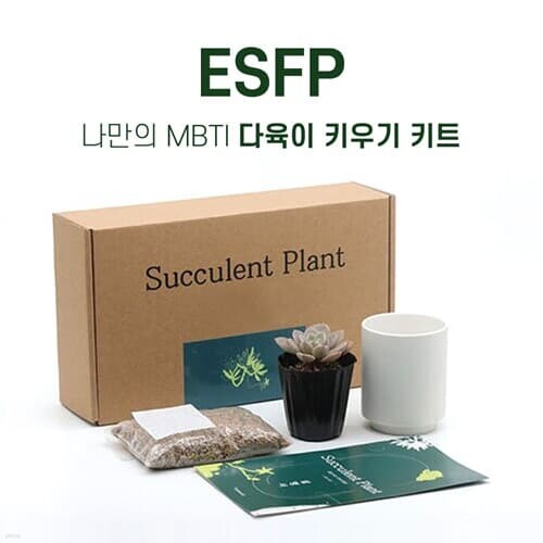 MBTI 다육이키우기 DIY키트 ESFP 자유로운 영혼의 연예인