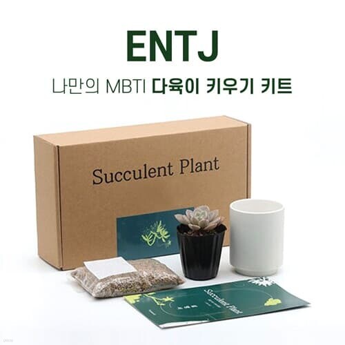 MBTI 다육이키우기 DIY키트 ENTJ 대담한 통솔자