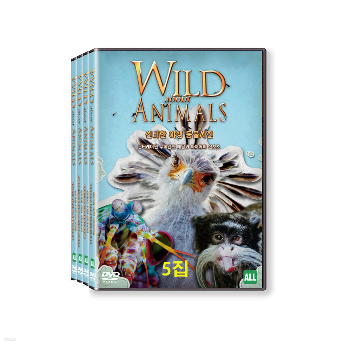 히스토리채널 : 신비한 야생 동물사전 5집 (4Disc)