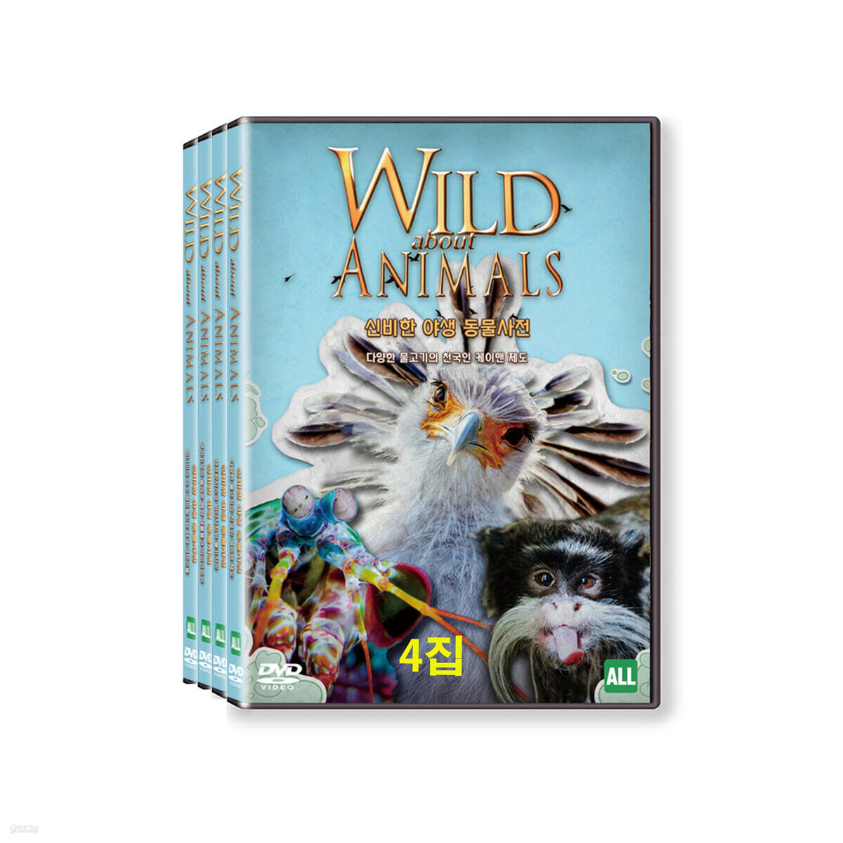 히스토리채널 : 신비한 야생 동물사전 4집 (4Disc)