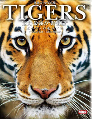 TIGERS .˭Ρޡ