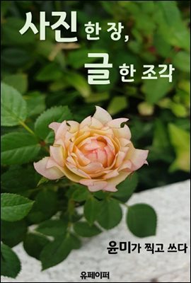 사진 한 장, 글 한 조각