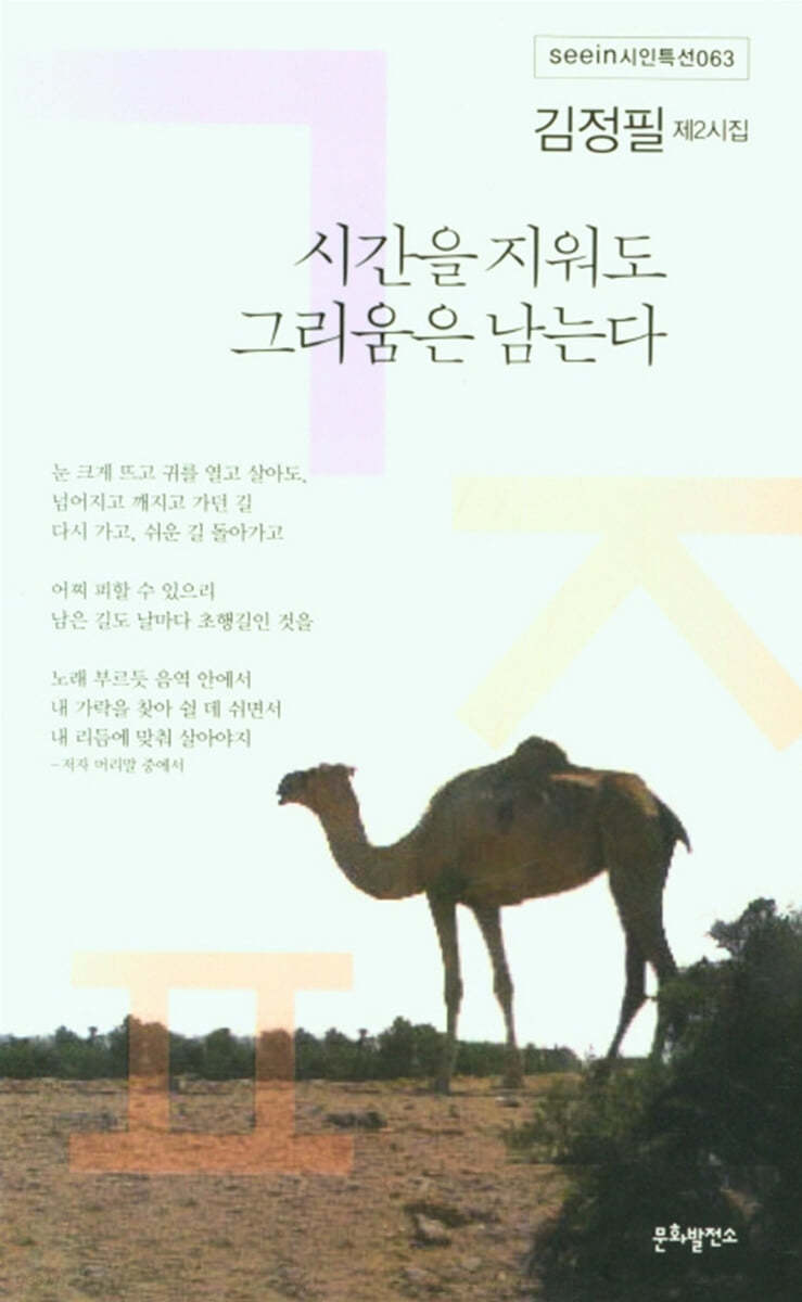 시간을 지워도 그리움은 남는다