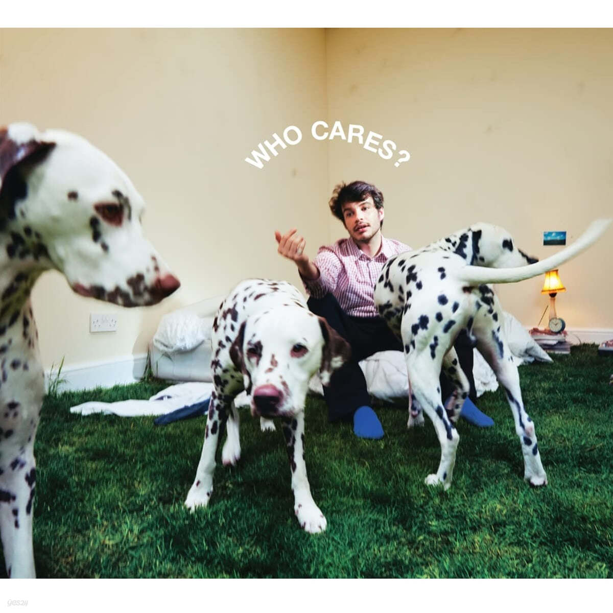 Rex Orange County (렉스 오렌지 카운티) - 4집 WHO CARES? [LP] 