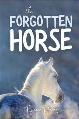 The Forgotten Horse - Book 1 in the Connemara Horse Adventure Series for Kids. The perfect gift for children age 8-12.