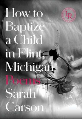 How to Baptize a Child in Flint, Michigan: Poems - 예스24