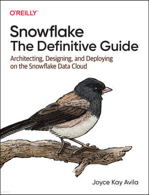 Snowflake: The Definitive Guide: Architecting, Designing, and Deploying on the Snowflake Data Cloud