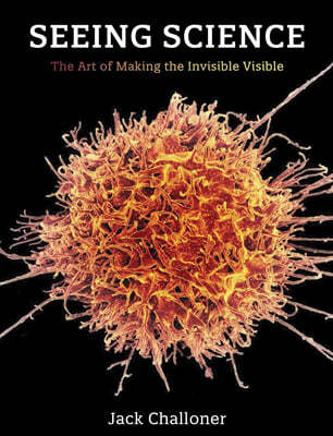 Seeing Science: The Art of Making the Invisible Visible