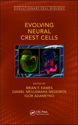 Evolving Neural Crest Cells