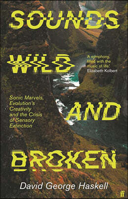 Sounds Wild and Broken