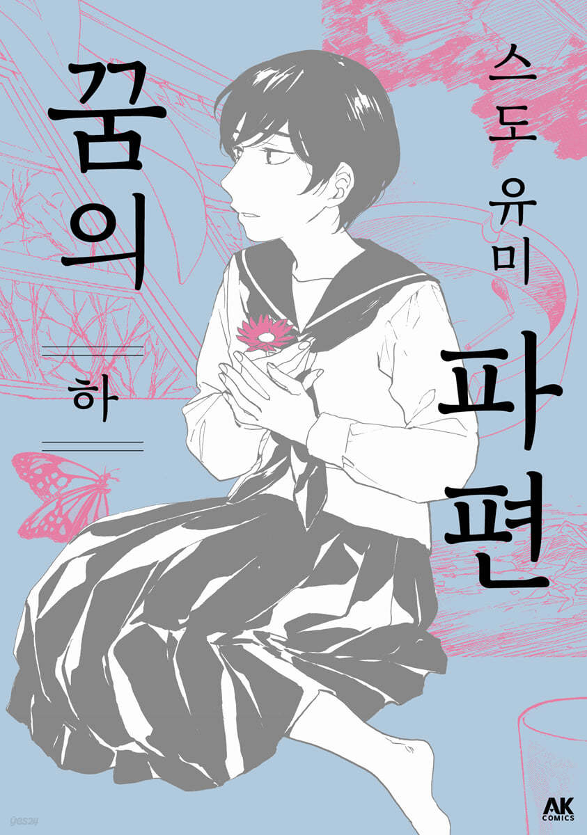 꿈의 파편 (하)