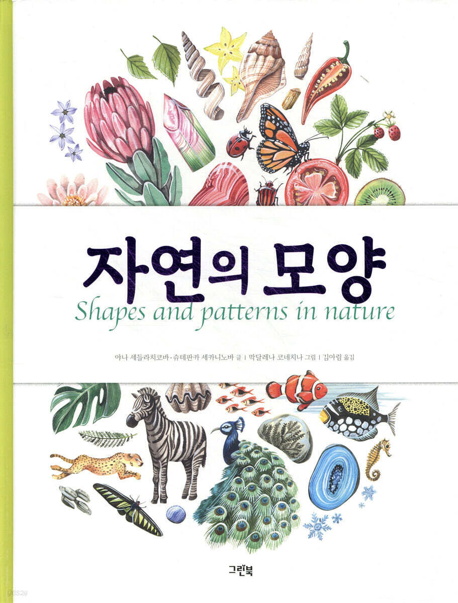 자연의 모양