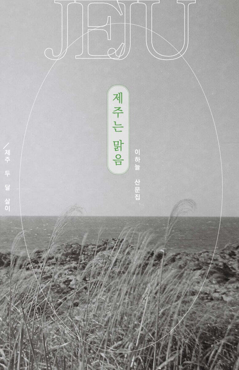제주는 맑음