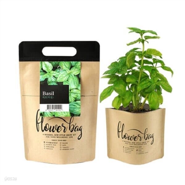 꿈쟁이 NEW 플라워백 (허브바질) 종이화분 생태화분 식물기르기