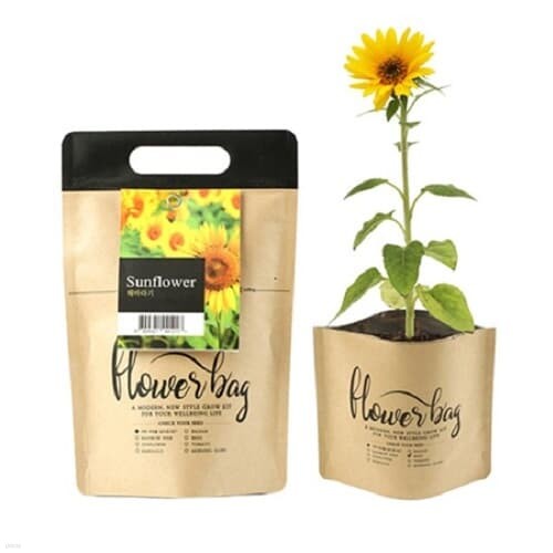꿈쟁이 NEW 플라워백 (해바라기) 종이화분 생태화분 식물기르기