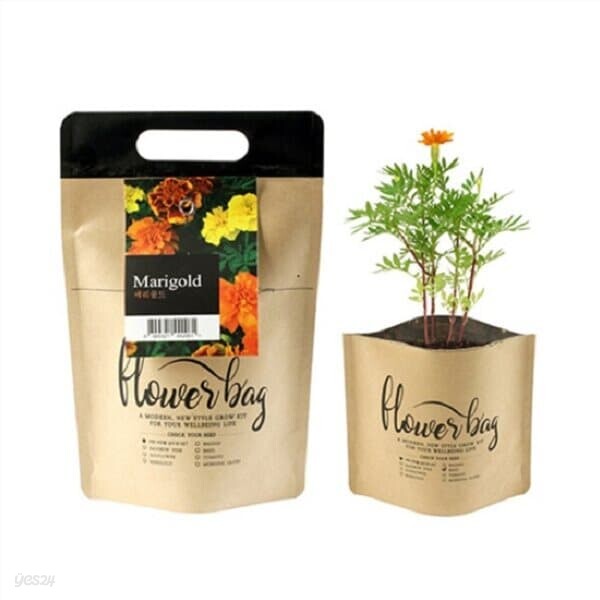 꿈쟁이 NEW 플라워백 (메리골드) 종이화분 생태화분 식물기르기