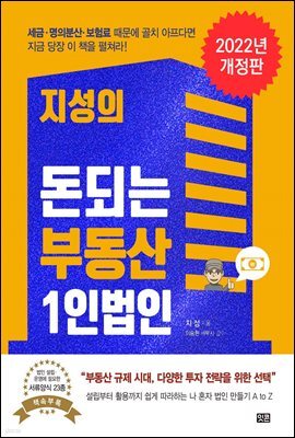 지성의 돈되는 부동산 1인법인