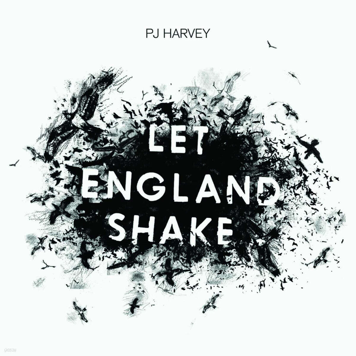 P.J Harvey (피제이 하비) - 8집 Let England Shake [LP]