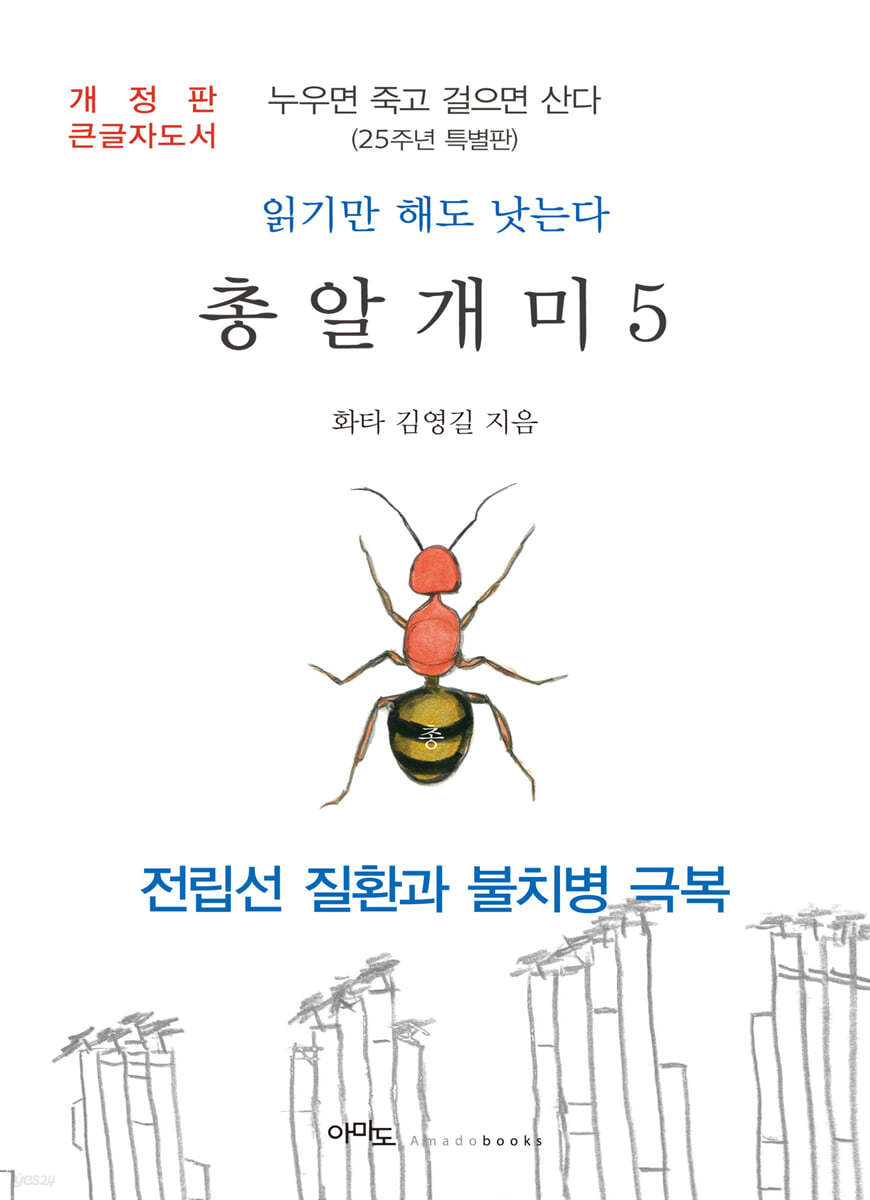 총알개미 5 (큰글자도서)