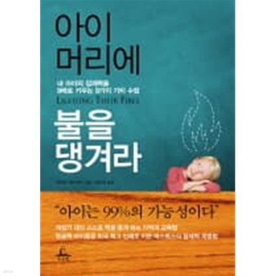 아이 머리에 불을 댕겨라 - 내 아이의 잠재력을 9배로 키우는 9가지 가치 수업