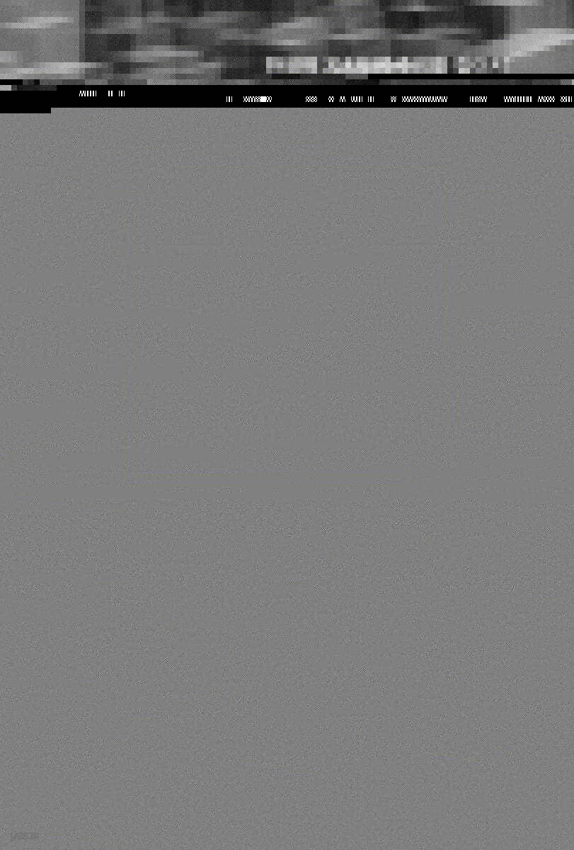 대역민주주의 대 자치민주주의
