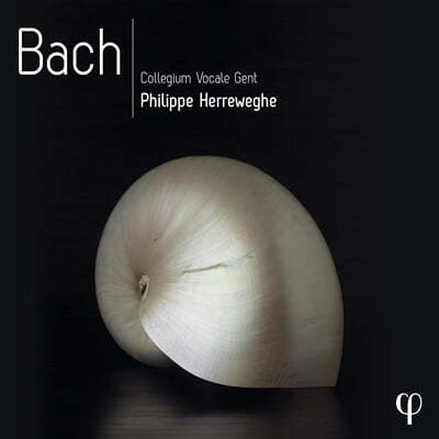 Philippe Herreweghe ʸ 췹 -   ڽ Ʈ (Bach - PHI-Recordings)