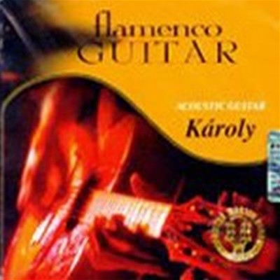 Karoly Csecsodi / Flamenco Guitar (수입)