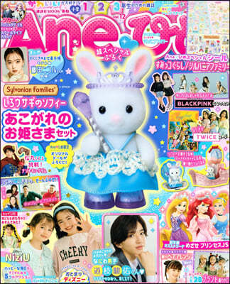 Aneひめ vol.12