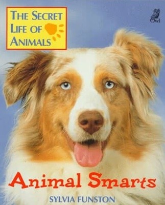 Animal Smarts (The Secret Life of Animals) 