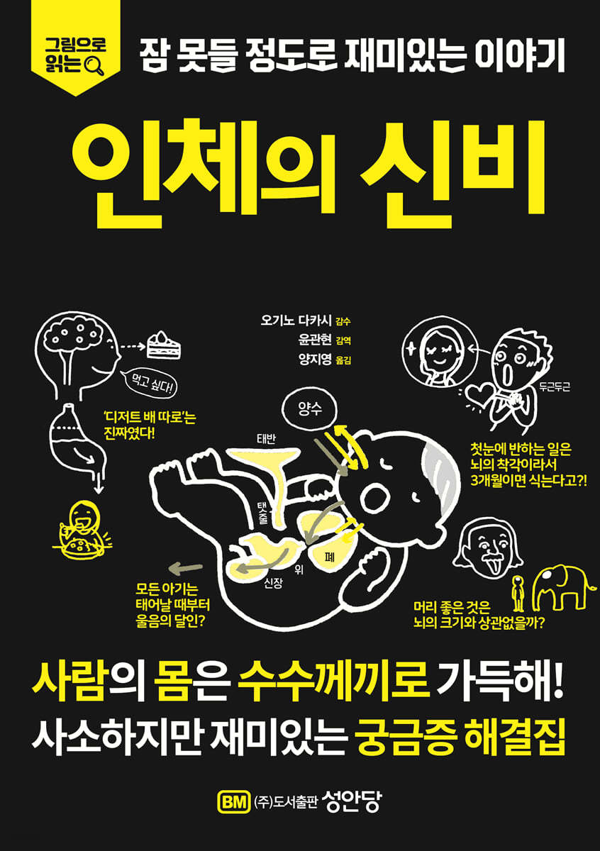 인체의 신비