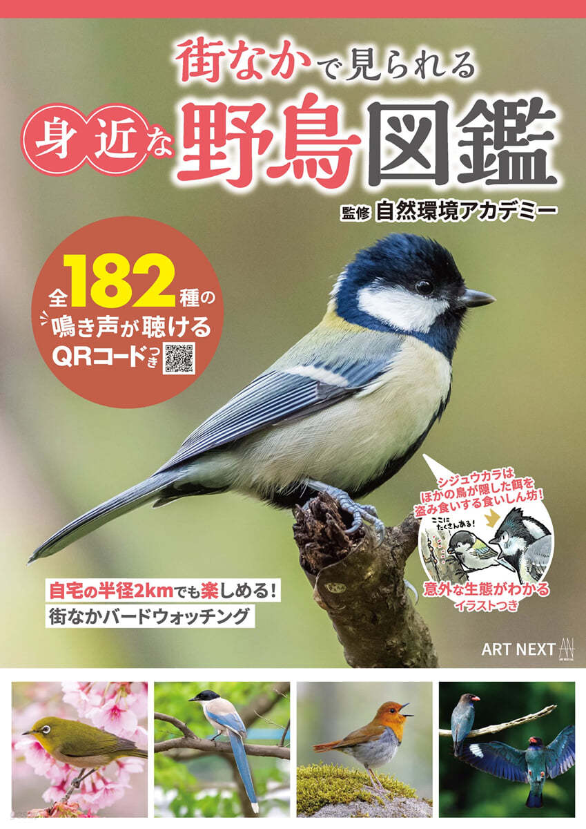 街なかで見られる身近な野鳥圖鑑