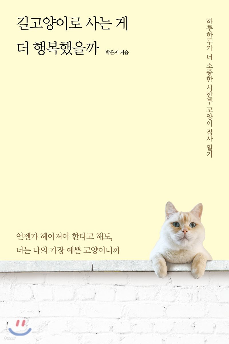 길고양이로 사는 게 더 행복했을까