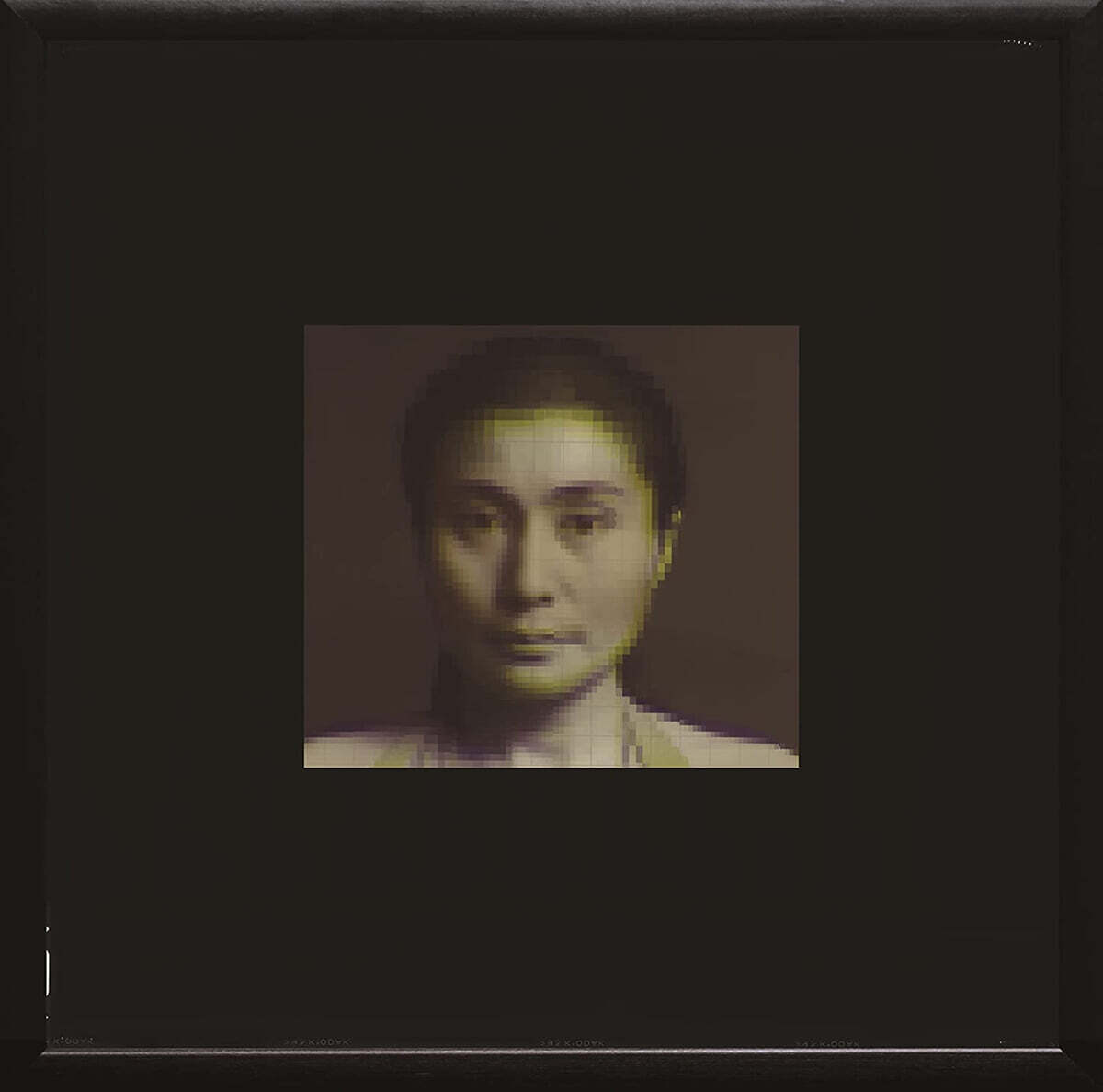 오노 요코 헌정 앨범 (Tribute To Yoko Ono - Ocean Child: Songs Of Yoko Ono) [LP]